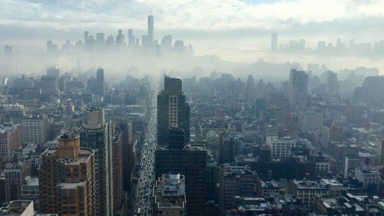 How To Use A 99Exch Cricket Id For Sports Betting?